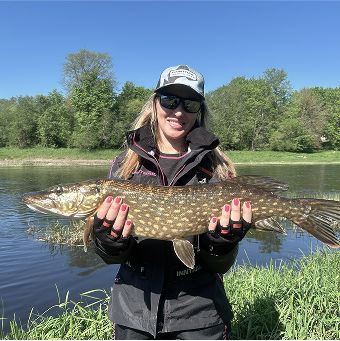 ANGLER OÜ – Kristina Pihl