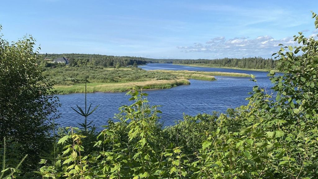 Deer Lake atv trail.jpg
