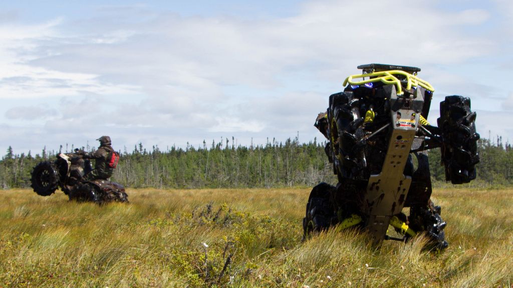 atvs on grass