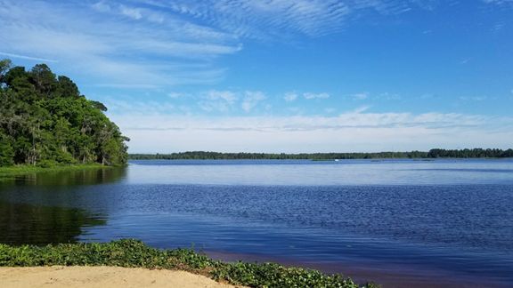 Lake Oklawaha campground