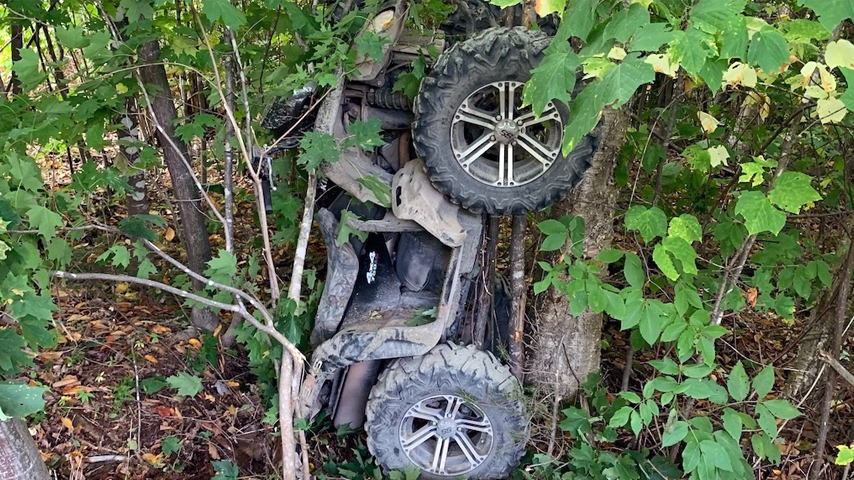 atv crash tree