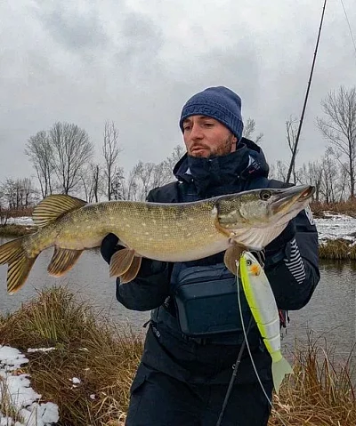 What Type of Fishing Rod is Best for Large Fish?