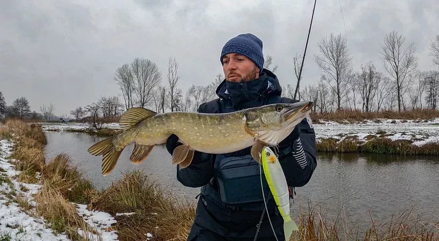 What Type of Fishing Rod is Best for Large Fish?