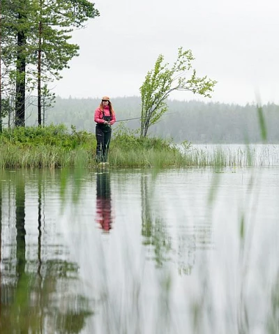 What Is Better to Fish With, Live Bait or Lures?