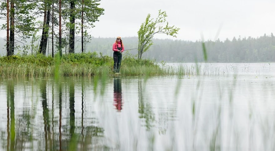 What Is Better to Fish With, Live Bait or Lures?