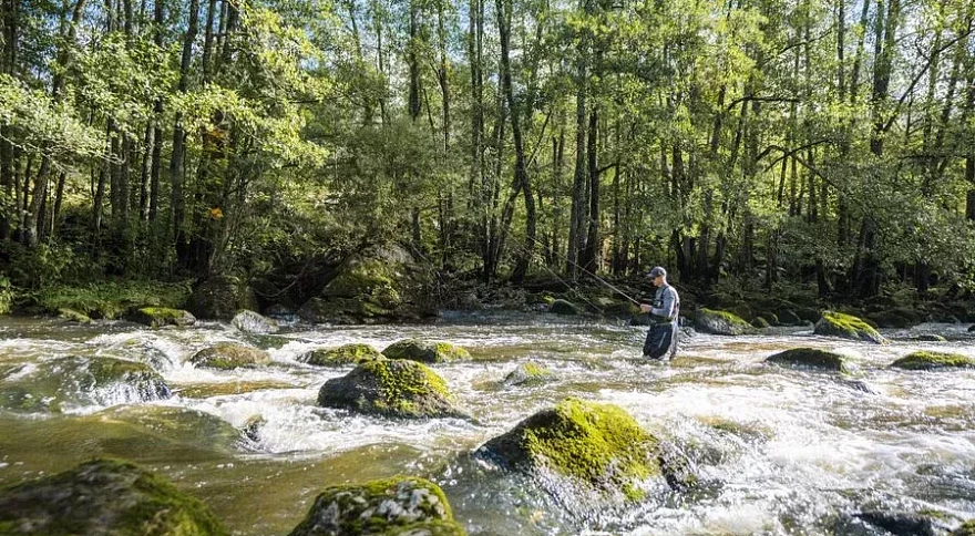 How to Use Fishing Lures: Complete Guide for Beginners and Beyond
