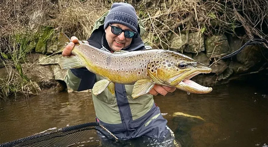Trout Fishing Guide: Proven Ways to Catch More