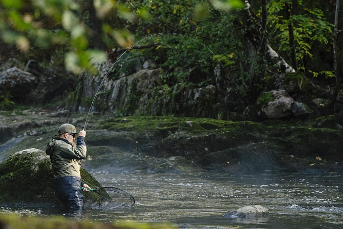 How to Choose the Best Fly Line for Beginners